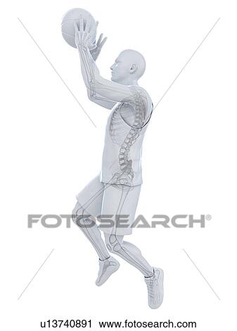 Basketball player, artwork View Large Illustration Clip Art - Basketball player, artwork. Fotosearch