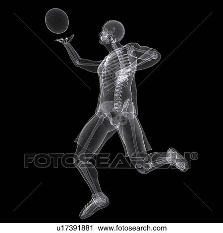 Clip Art - Basketball player, artwork. Fotosearch