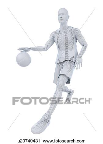 Clip Art - Basketball player, artwork. Fotosearch