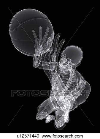Basketball player, artwork View Large Illustration Clipart - Basketball player, artwork. Fotosearch