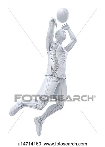 Basketball player, artwork View Large Illustration Clipart - Basketball player, artwork. Fotosearch