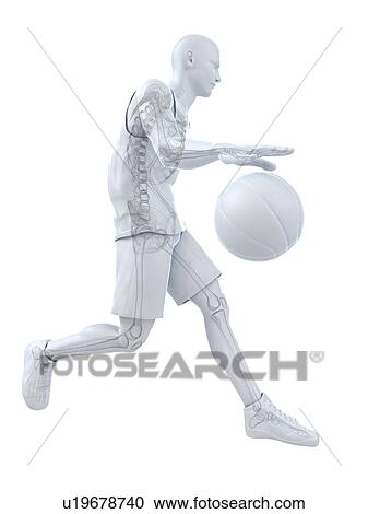 Basketball player, artwork View Large Illustration Clipart - Basketball player, artwork. Fotosearch