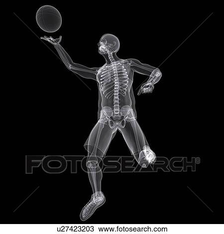 Basketball player, artwork View Large Illustration Drawing - Basketball player, artwork. Fotosearch