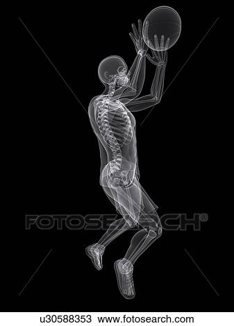 Basketball player, artwork View Large Illustration Drawing - Basketball player, artwork. Fotosearch