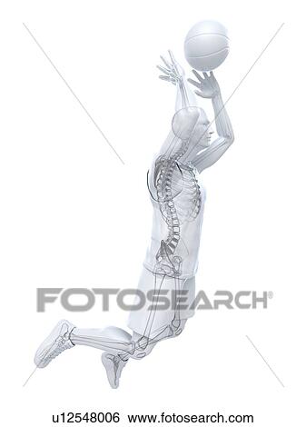 Basketball player, artwork View Large Illustration Stock Illustration - Basketball player, artwork. Fotosearch
