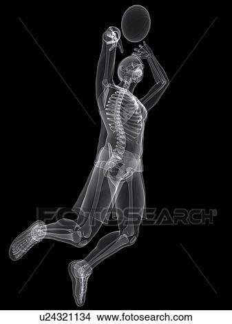 Basketball player, artwork View Large Illustration Stock Illustration - Basketball player, artwork. Fotosearch