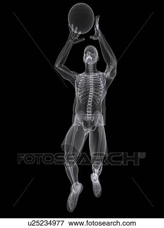 Basketball player, artwork View Large Illustration Stock Illustration - Basketball player, artwork. Fotosearch