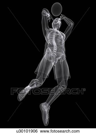 Basketball player, artwork View Large Illustration Stock Illustration - Basketball player, artwork. Fotosearch