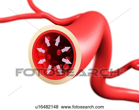 Blood pressure, conceptual artwork View Large Illustration Stock Illustration - Blood pressure, conceptual artwork. Fotosearch