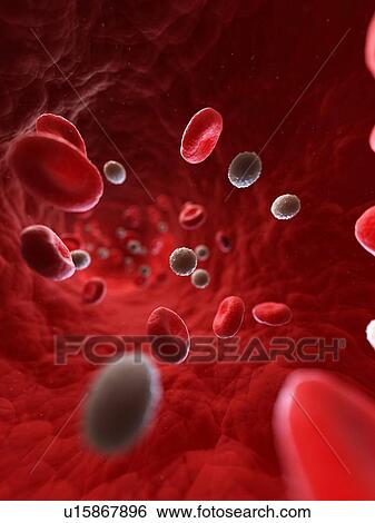 Blood stream, artwork View Large Illustration Stock Illustration - Blood stream, artwork. Fotosearch