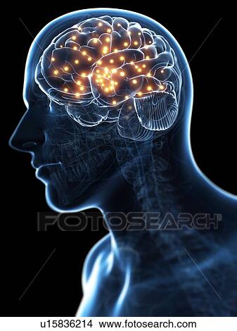 Stock Illustration - Brain activity, conceptual artwork. Fotosearch