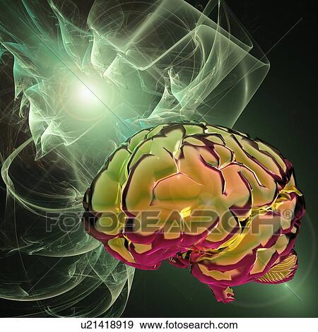 Brain activity, conceptual artwork View Large Illustration Stock Illustration - Brain activity, conceptual artwork. Fotosearch