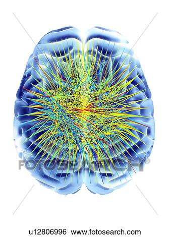 Stock Illustration - Brain and circular network diagram. Fotosearch