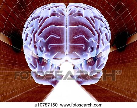 Brain in Tunnel, psychological state View Large Illustration Clipart - Brain in Tunnel, psychological state. Fotosearch
