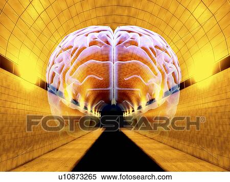 Brain in Tunnel, psychological state View Large Illustration Stock Illustration - Brain in Tunnel, psychological state. Fotosearch