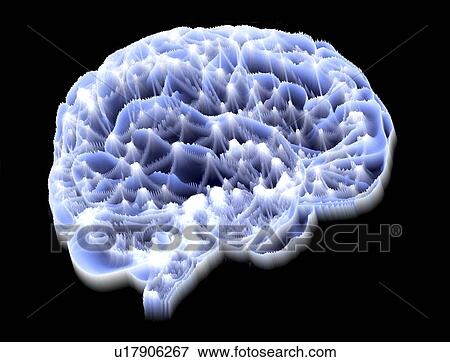 Stock Illustration - Brain, neural network. Fotosearch