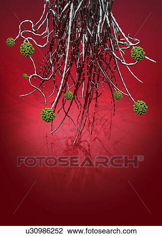 Computer virus, conceptual artwork View Large Illustration Drawing - Computer virus, conceptual artwork. Fotosearch