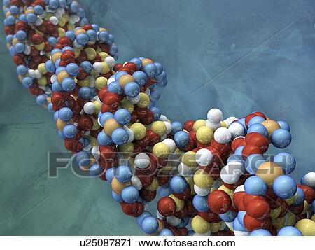 DNA molecule, artwork View Large Illustration Clip Art - DNA molecule, artwork. Fotosearch