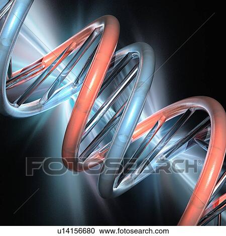 DNA molecule, artwork View Large Illustration Clipart - DNA molecule, artwork. Fotosearch
