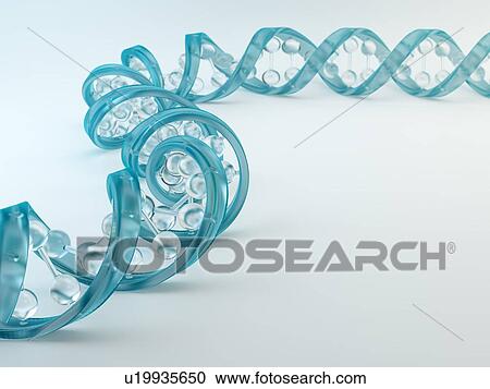 DNA molecule, artwork View Large Illustration Clipart - DNA molecule, artwork. Fotosearch