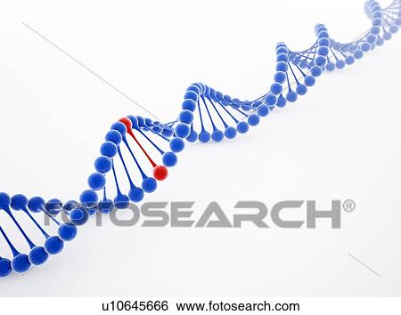 Stock Illustration - DNA molecule, artwork. Fotosearch