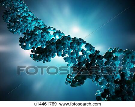 DNA molecule, artwork View Large Illustration Stock Illustration - DNA molecule, artwork. Fotosearch