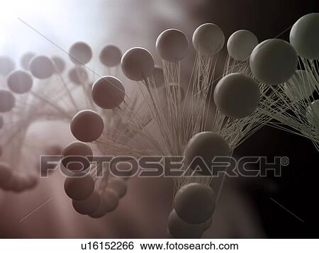 DNA molecule, artwork View Large Illustration Stock Illustration - DNA molecule, artwork. Fotosearch