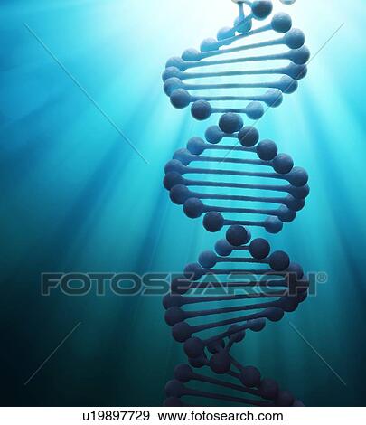 Stock Illustration - DNA molecule, artwork. Fotosearch