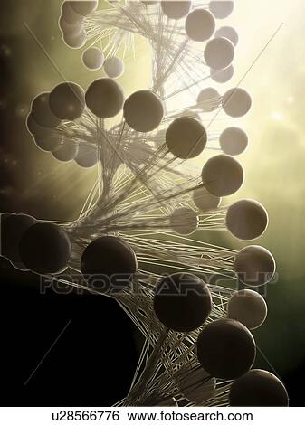 Stock Illustration - DNA molecule, artwork. Fotosearch