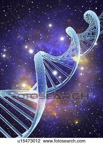 DNA molecule, computer artwork View Large Illustration Drawing - DNA molecule, computer artwork. Fotosearch