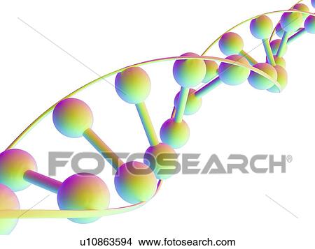 Stock Illustration - DNA molecule, computer artwork. Fotosearch