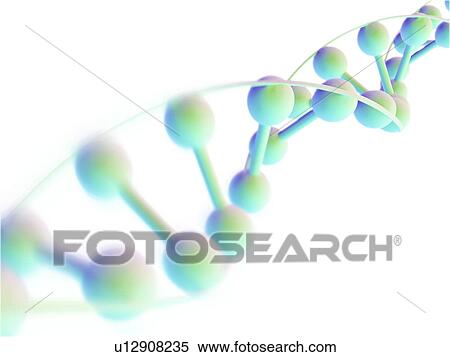 Stock Illustration - DNA molecule, computer artwork. Fotosearch