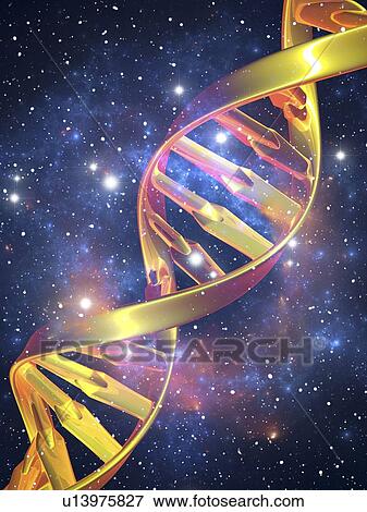 Stock Illustration - DNA molecule, computer artwork. Fotosearch