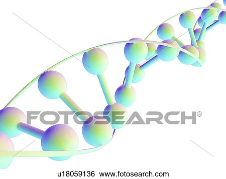 Stock Illustration - DNA molecule, computer artwork. Fotosearch