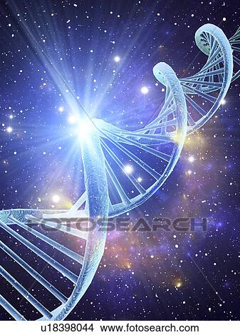 DNA molecule, computer artwork View Large Illustration Stock Illustration - DNA molecule, computer artwork. Fotosearch