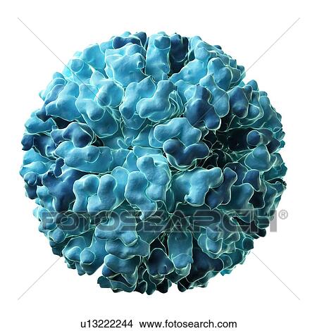 Stock Illustration - Flock House virus, artwork. Fotosearch