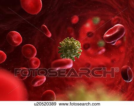 Foot and mouth infection, artwork View Large Illustration Stock Illustration - Foot and mouth infection, artwork. Fotosearch