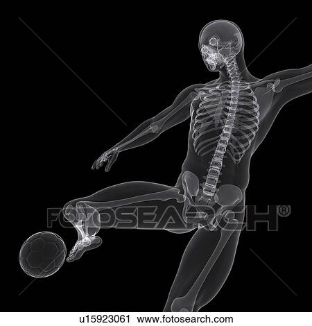 Football player, artwork View Large Illustration Clip Art - Football player, artwork. Fotosearch