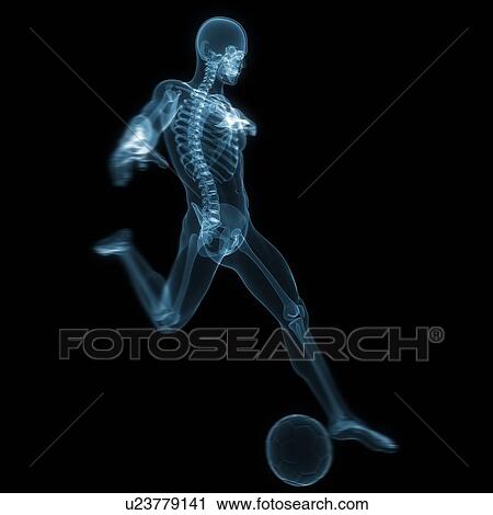 Football player, artwork View Large Illustration Clip Art - Football player, artwork. Fotosearch