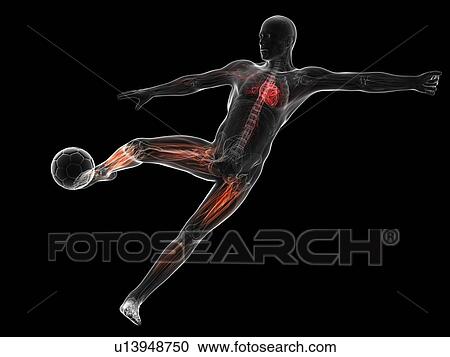 Football player, artwork View Large Illustration Clipart - Football player, artwork. Fotosearch