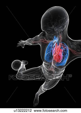 Football player, artwork View Large Illustration Drawing - Football player, artwork. Fotosearch