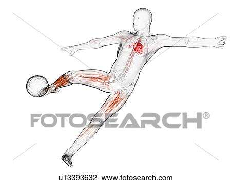 Football player, artwork View Large Illustration Drawing - Football player, artwork. Fotosearch
