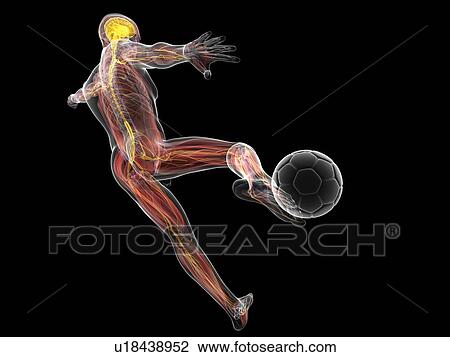Drawing - Football player, artwork. Fotosearch
