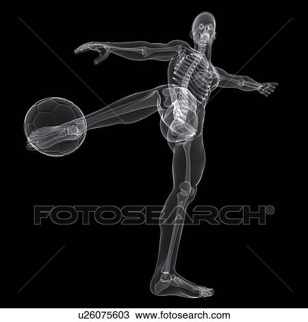 Football player, artwork View Large Illustration Drawing - Football player, artwork. Fotosearch