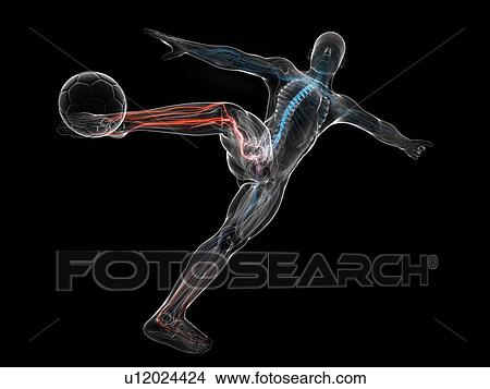 Stock Illustration - Football player, artwork. Fotosearch