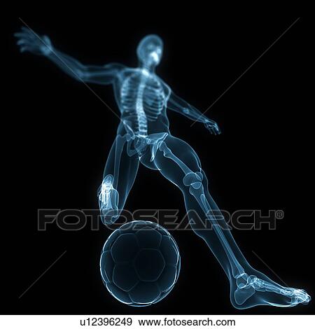 Football player, artwork View Large Illustration Stock Illustration - Football player, artwork. Fotosearch