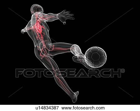 Stock Illustration - Football player, artwork. Fotosearch