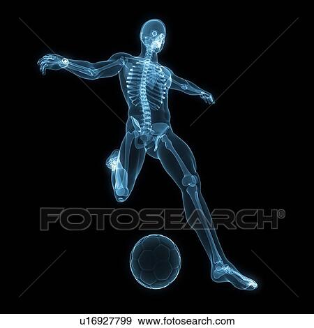 Stock Illustration - Football player, artwork. Fotosearch
