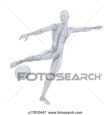 Football player, artwork View Large Illustration Stock Illustration - Football player, artwork. Fotosearch