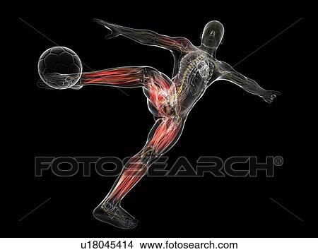 Stock Illustration - Football player, artwork. Fotosearch